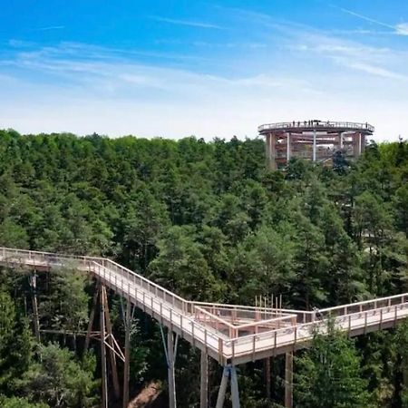 Gite Au Coin Du Chene Lägenhet Lembach Exteriör bild