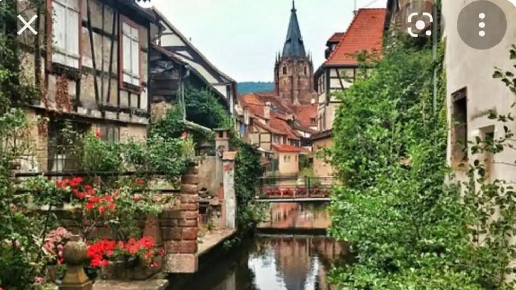 Gite Au Coin Du Chene Lägenhet Lembach Exteriör bild